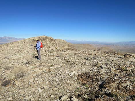 Birdspring Peak