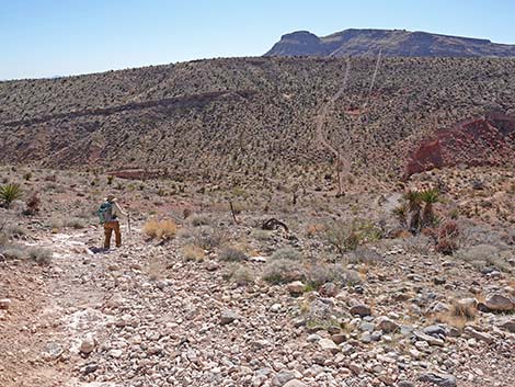 Calico Basin Overlook Trail