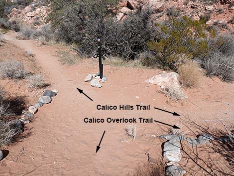 Calico Basin Overlook Trail