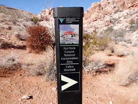 Calico Basin Overlook Trail