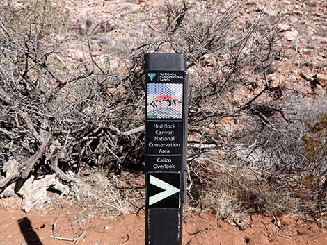 Calico Wash Trail