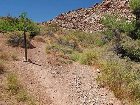 Calico Basin Overlook Trail