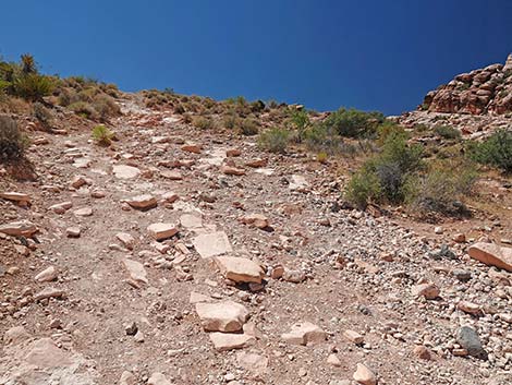 Calico Basin Overlook Trail