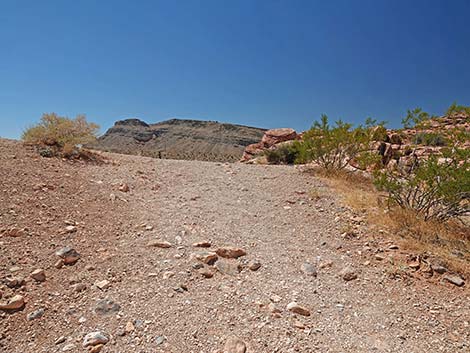 Calico Basin Overlook Trail