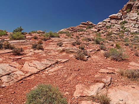 Calico Basin Overlook Trail