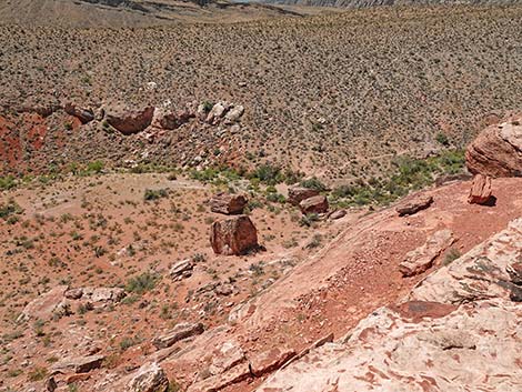 Calico Basin Overlook Trail