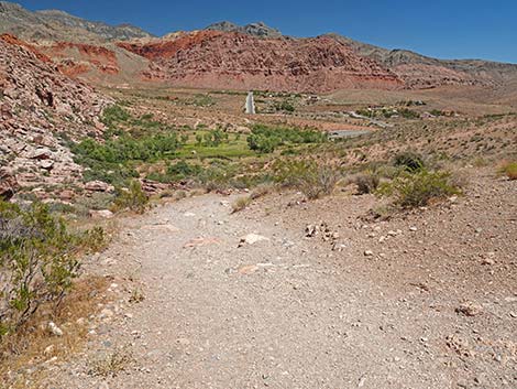 Calico Basin Overlook Trail