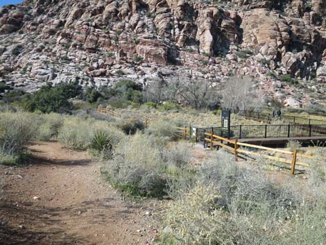 Calico Basin Overlook Trail