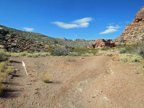 Calico Basin Overlook Trail