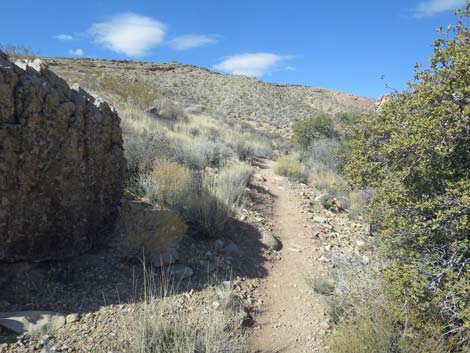 Calico Wash Trail