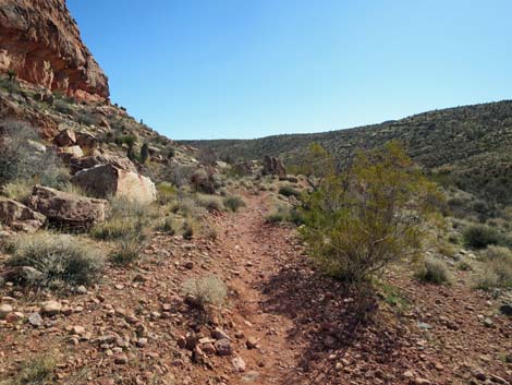 Calico Wash Trail