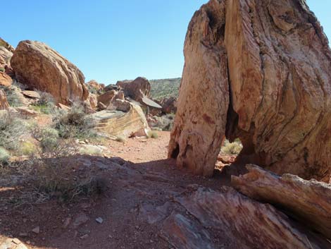 Calico Wash Trail