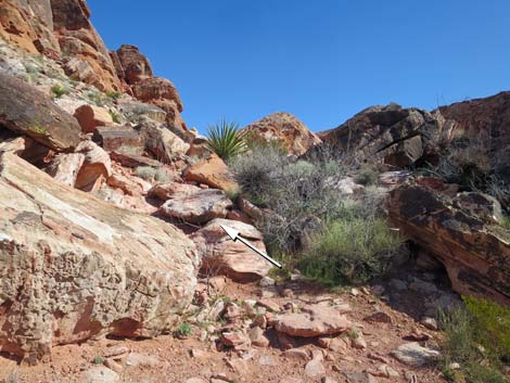 Calico Basin Overlook Trail