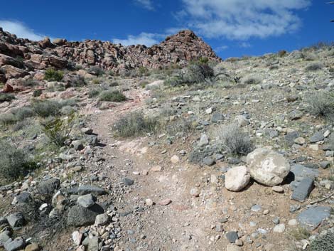 Calico Basin Overlook Trail