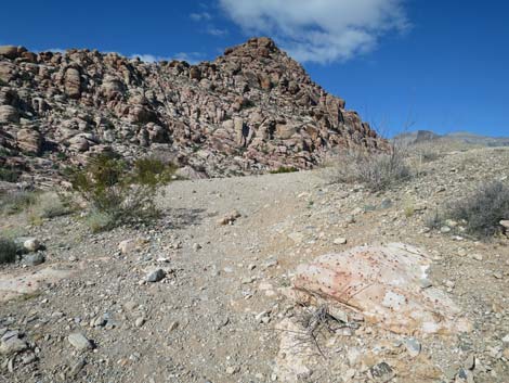 Calico Basin Overlook Trail