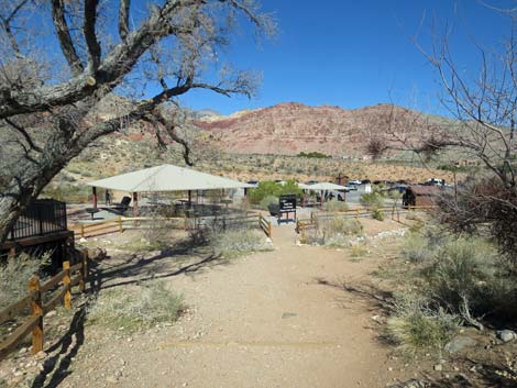 Calico Basin Overlook Trail