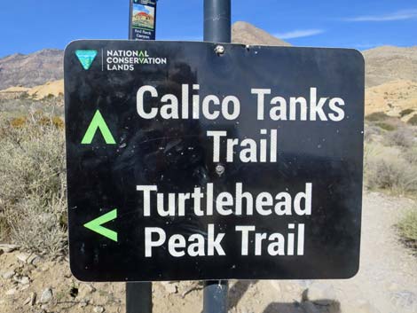 Calico Hills Loop Trail