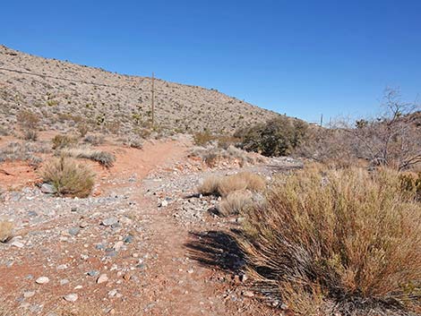 Calico Wash Trail