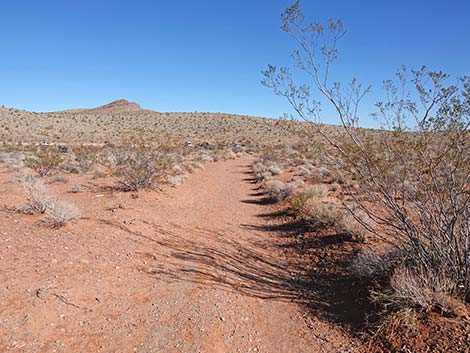 Calico Wash Trail