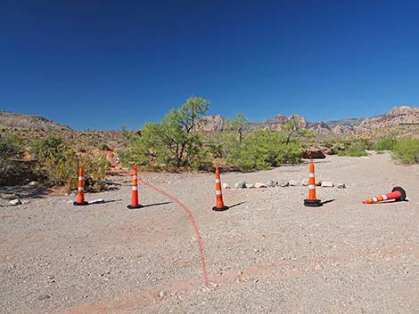 Calico Wash Trail