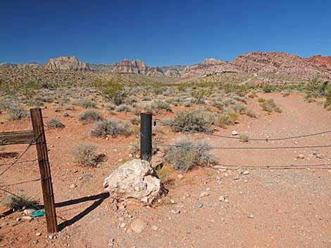 Calico Wash Trail