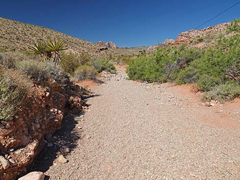 Calico Wash Trail