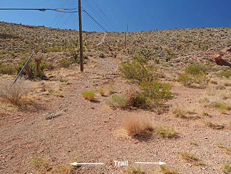 Calico Wash Trail