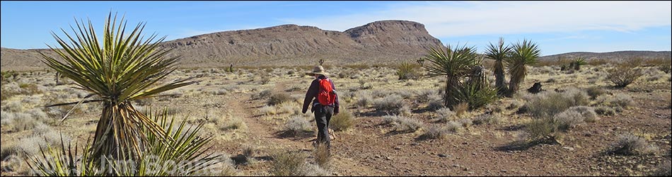 Red Rock Canyon Campground Area