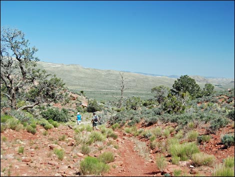 Escarpment Route