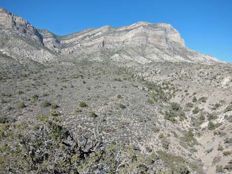 La Madre Mountain Wilderness Area