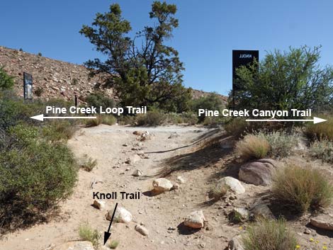 Knoll Trail