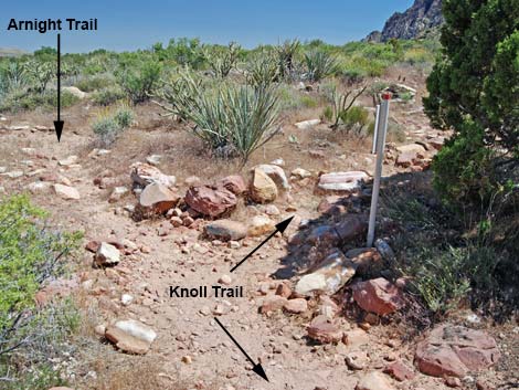 Knoll-Arnight trail sign (view SW)
