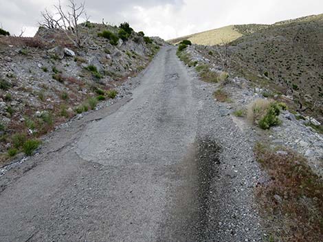 Carole Lombard Crash Site