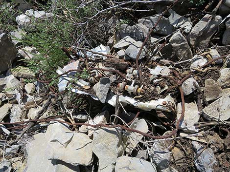 Carole Lombard Crash Site