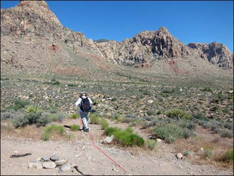 Hiking Around Las Vegas, Red Rock Canyon NCA, Lone Grapevine Spring