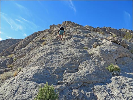 Lone Mountain, East Ridge