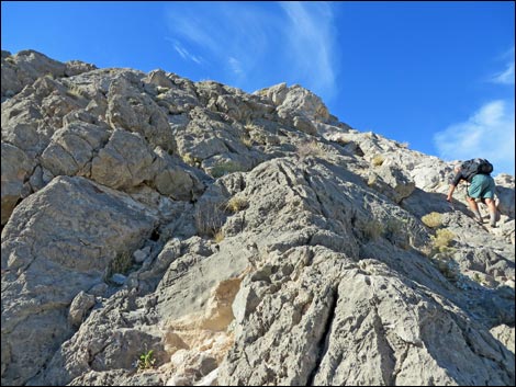 Lone Mountain, East Ridge