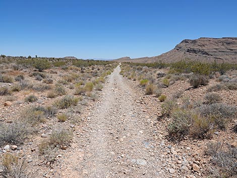 Moenkopi Trail