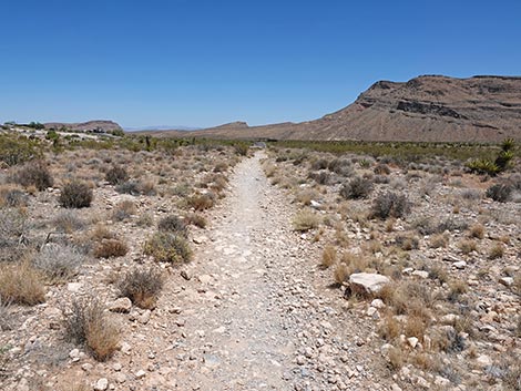 Moenkopi Trail