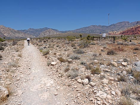 Moenkopi Trail
