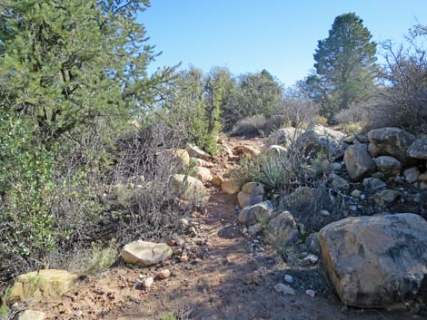 South Oak Creek Trail