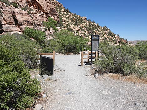 Petroglyph Wall Trailhead