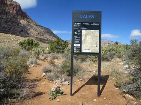 Dales Trail