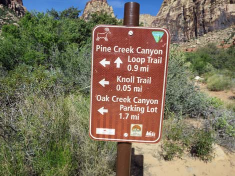 Pine Creek Canyon Trail
