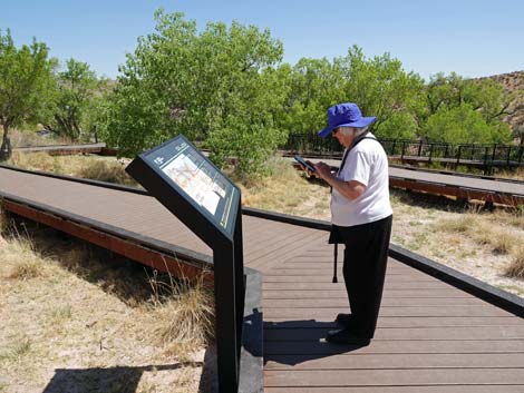 Red Spring Boardwalk Trail