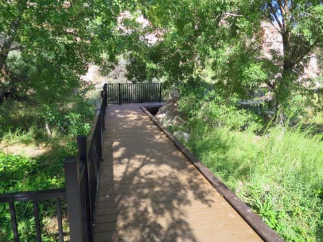 Red Spring Boardwalk