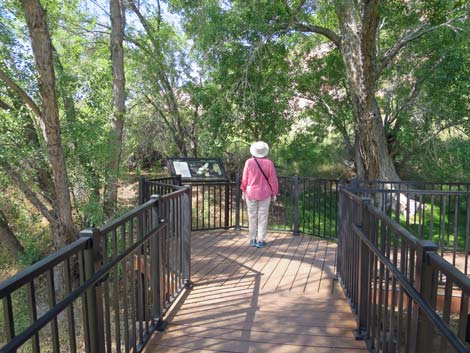 Red Spring Boardwalk