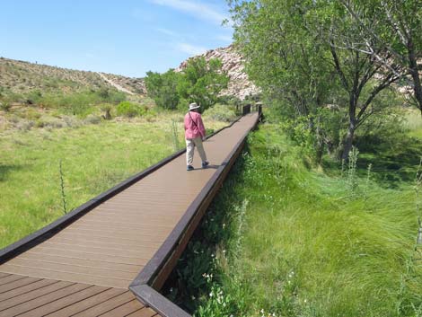 Red Spring Boardwalk