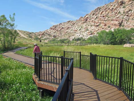 Red Spring Boardwalk