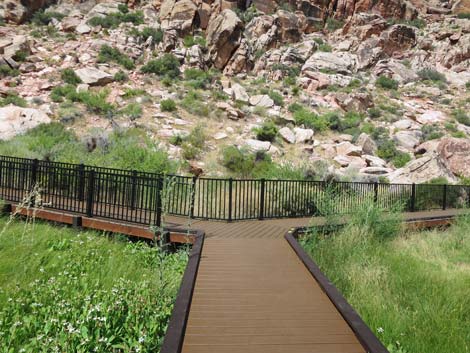 Red Spring Boardwalk